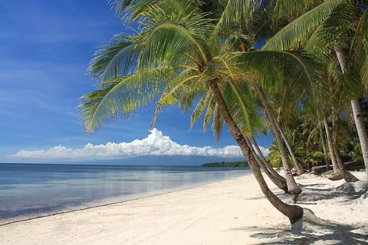 Diamond De Siquijor Beach House Eksteriør billede